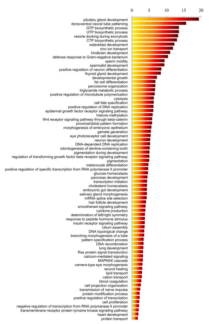 http://i0.wp.com/static-content.springer.com/image/art%3A10.1186%2F1471-2148-11-16/MediaObjects/12862_2010_Article_1625_Fig1_HTML.jpg?w=678&ssl=1