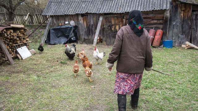 První osadníci žijí 32 km od Černobylu, v současné době v jedenácti osadách žije asi 300 osob tj. stav duben 2016. První osadníci žijí 32 km od Černobylu, v současné době v jedenácti osadách žije asi 300 osob tj. stav duben 2016.