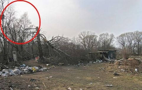 Neporušené stromy na levé straně ve směru letu břízy kufru.  Klesla bříza vrchol je kolmá na směr letadla.  Foto: Sergej Amelin / get.google.com