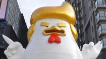 Cena zlata roste nejrychleji s mírou června 2016 vzhledem k Trump řešení